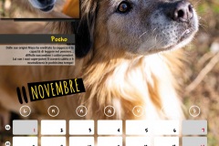 Arceto_Calendario2021_low-13