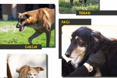 Arceto_Calendario2021_low-15