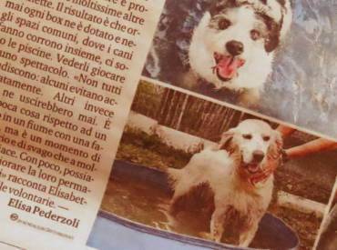 SPA Pelosi a 5 stelle