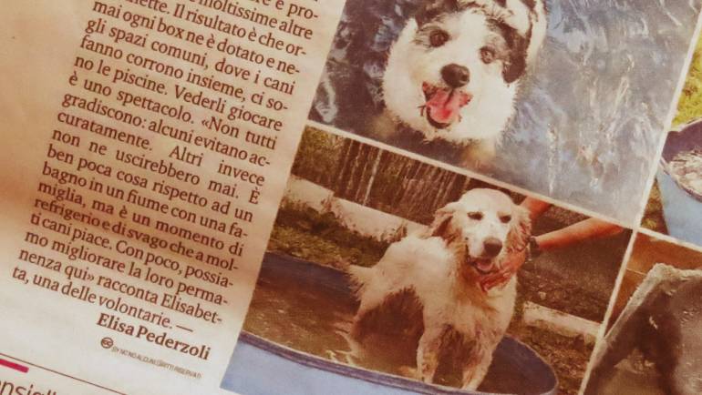 SPA Pelosi a 5 stelle