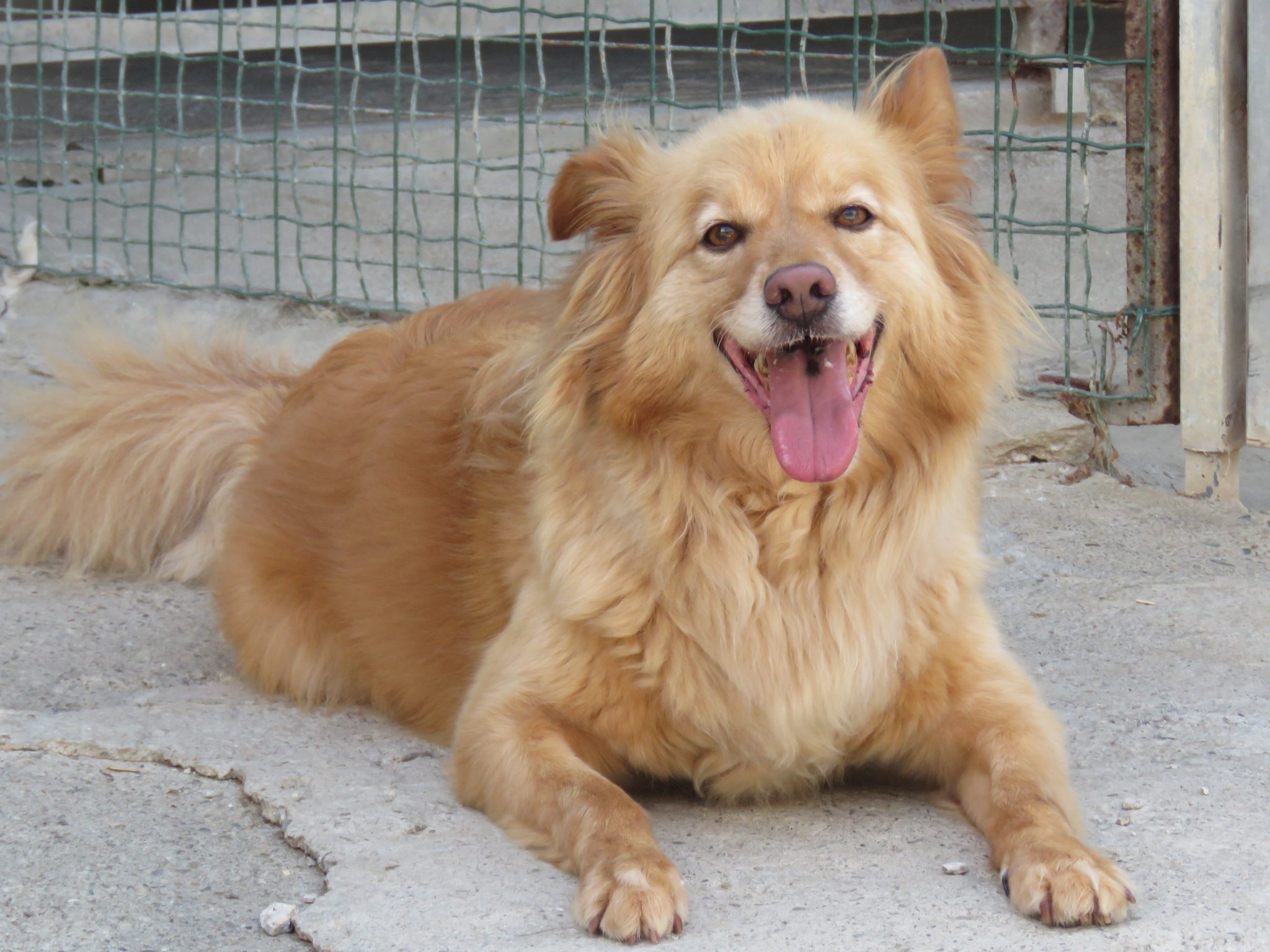 Leo