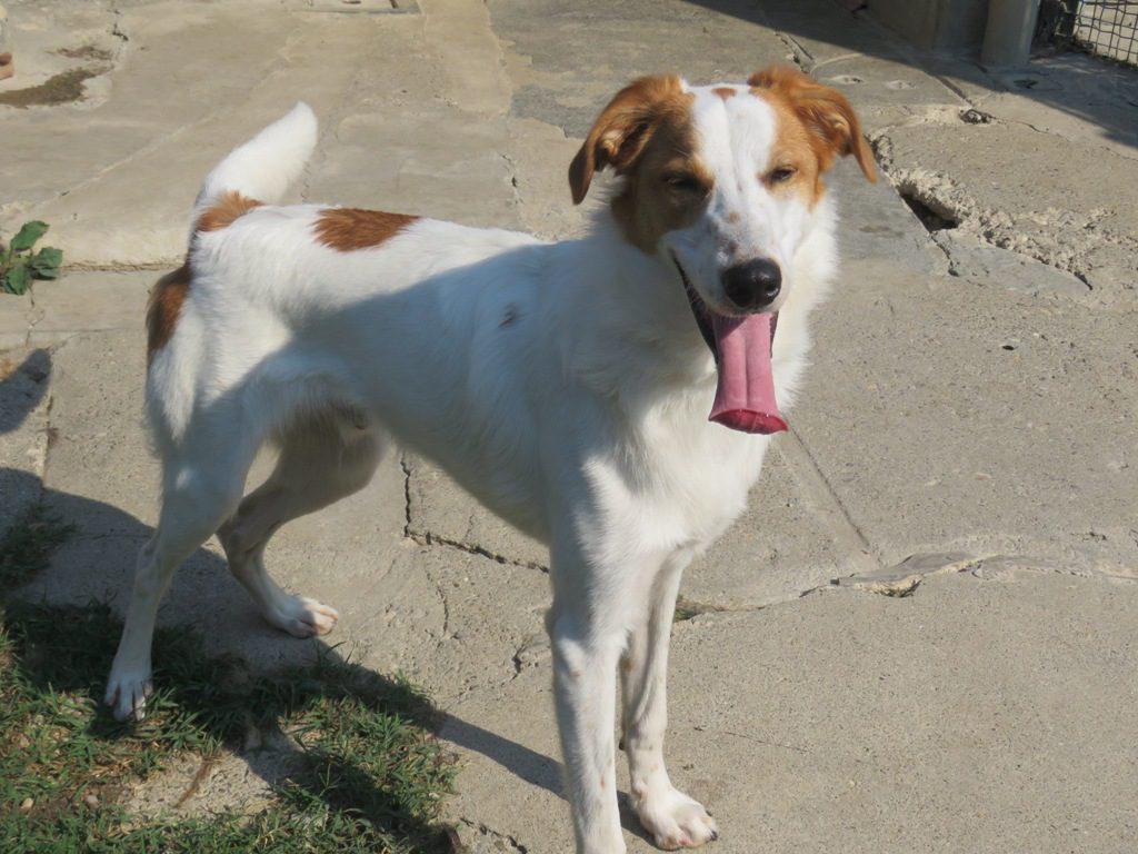 Max