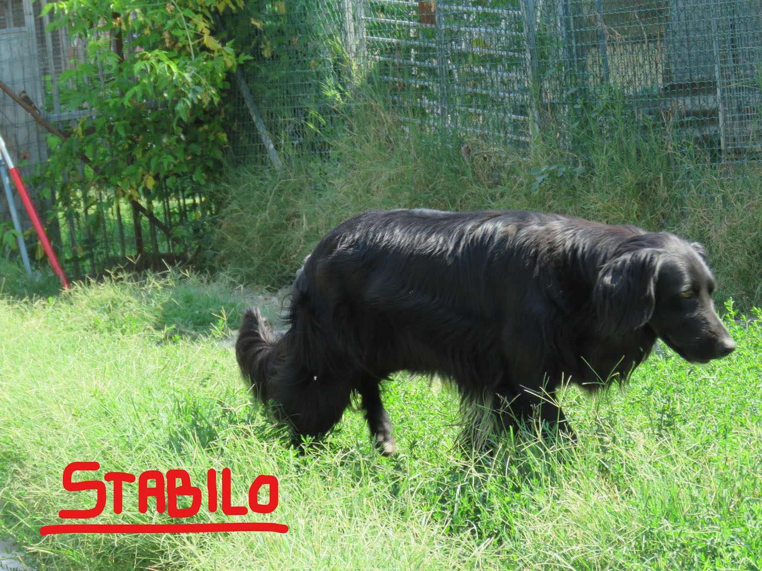 Block e Stabilo - immagine 2