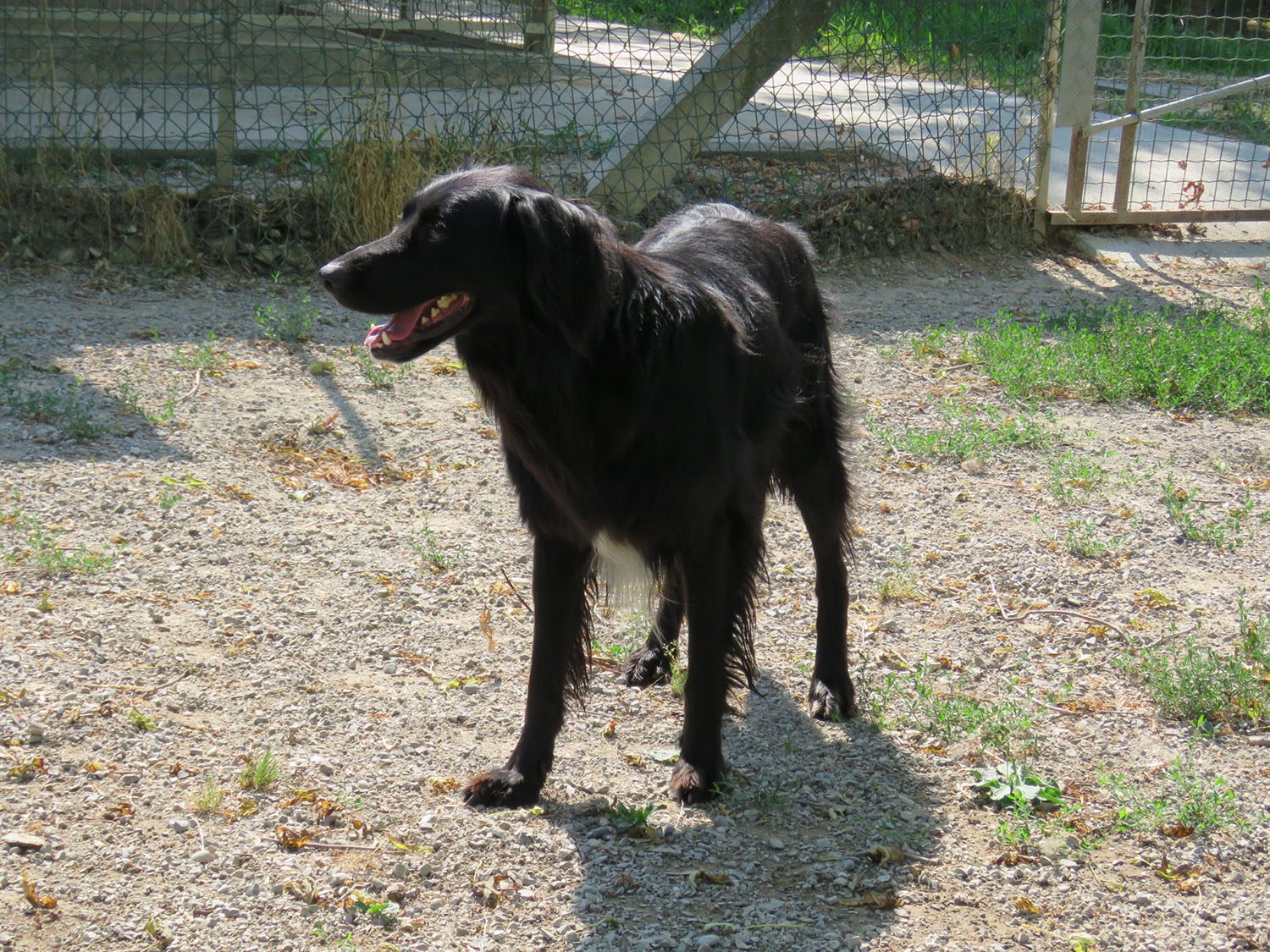 Block e Stabilo - immagine 3