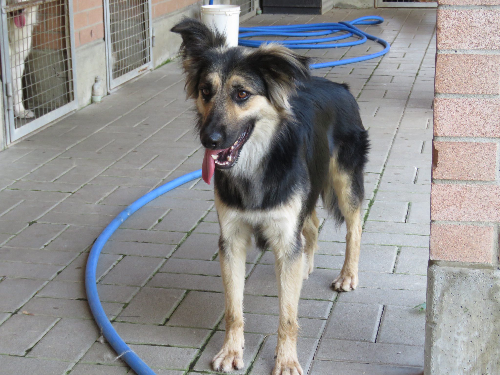 Swiffer