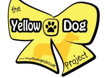 Yellow Dog Project