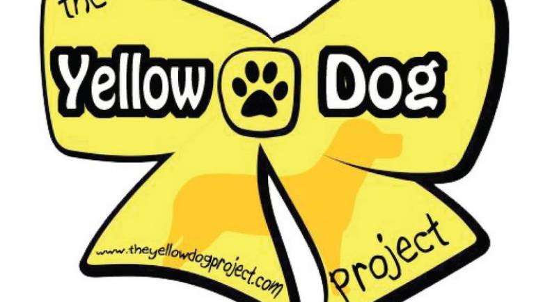 Yellow Dog Project