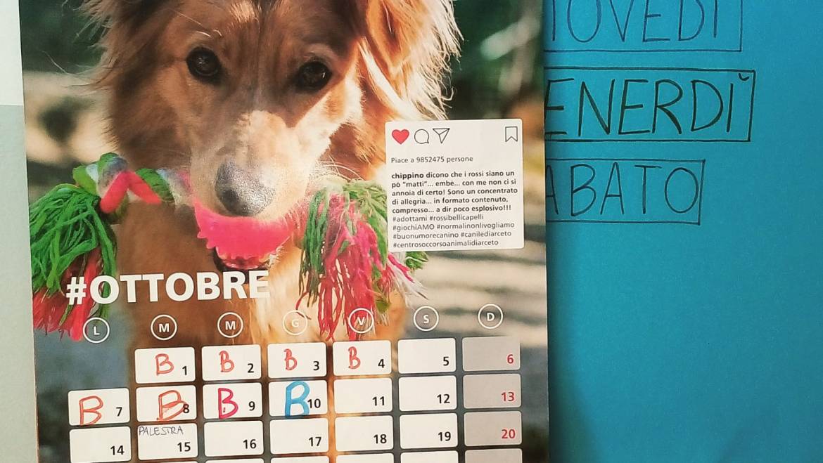 Un calendario speciale