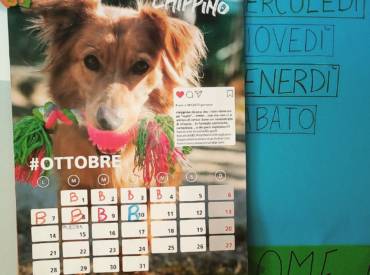 Un calendario speciale