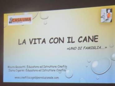 Vivere con il cane IN casa