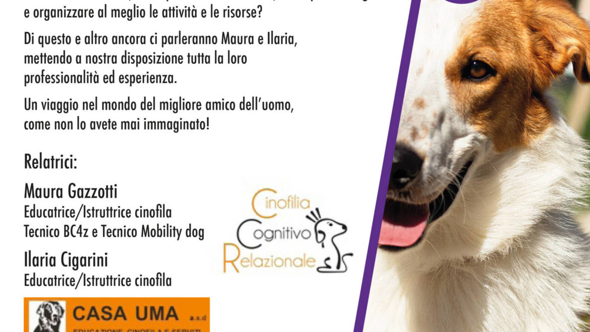 La vita con il cane IN casa