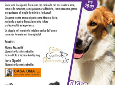 La vita con il cane IN casa