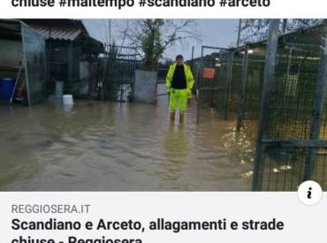 Maltempo in canile