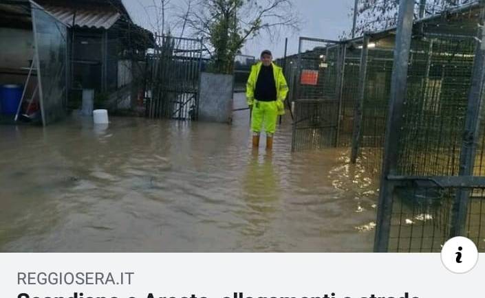 Maltempo in canile