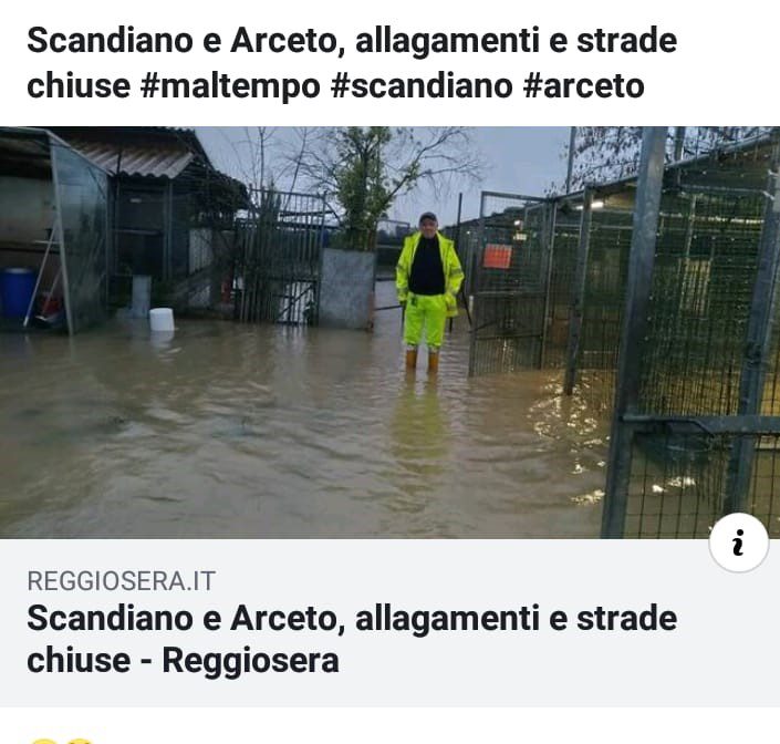 Maltempo in canile