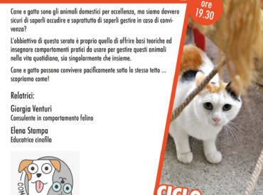 Come Cane e Gatto