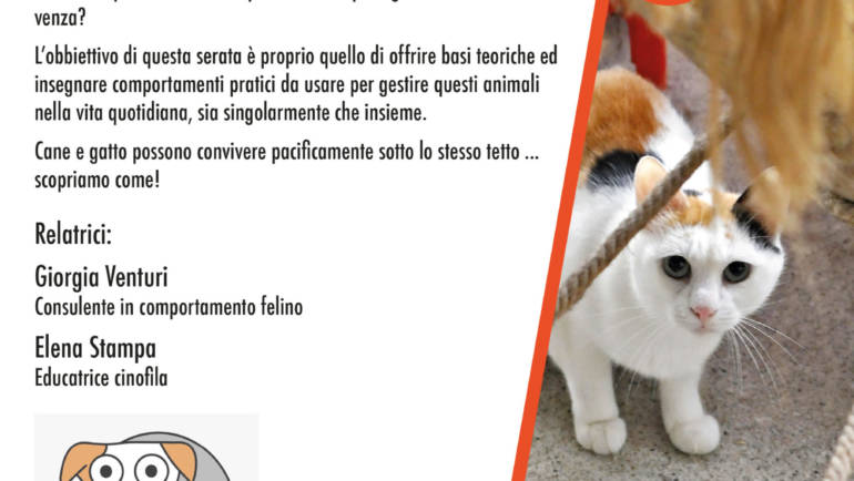 Come Cane e Gatto