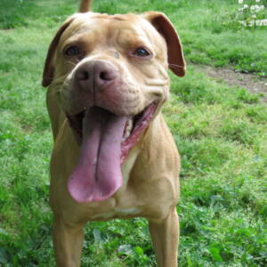 Zara.Pitt