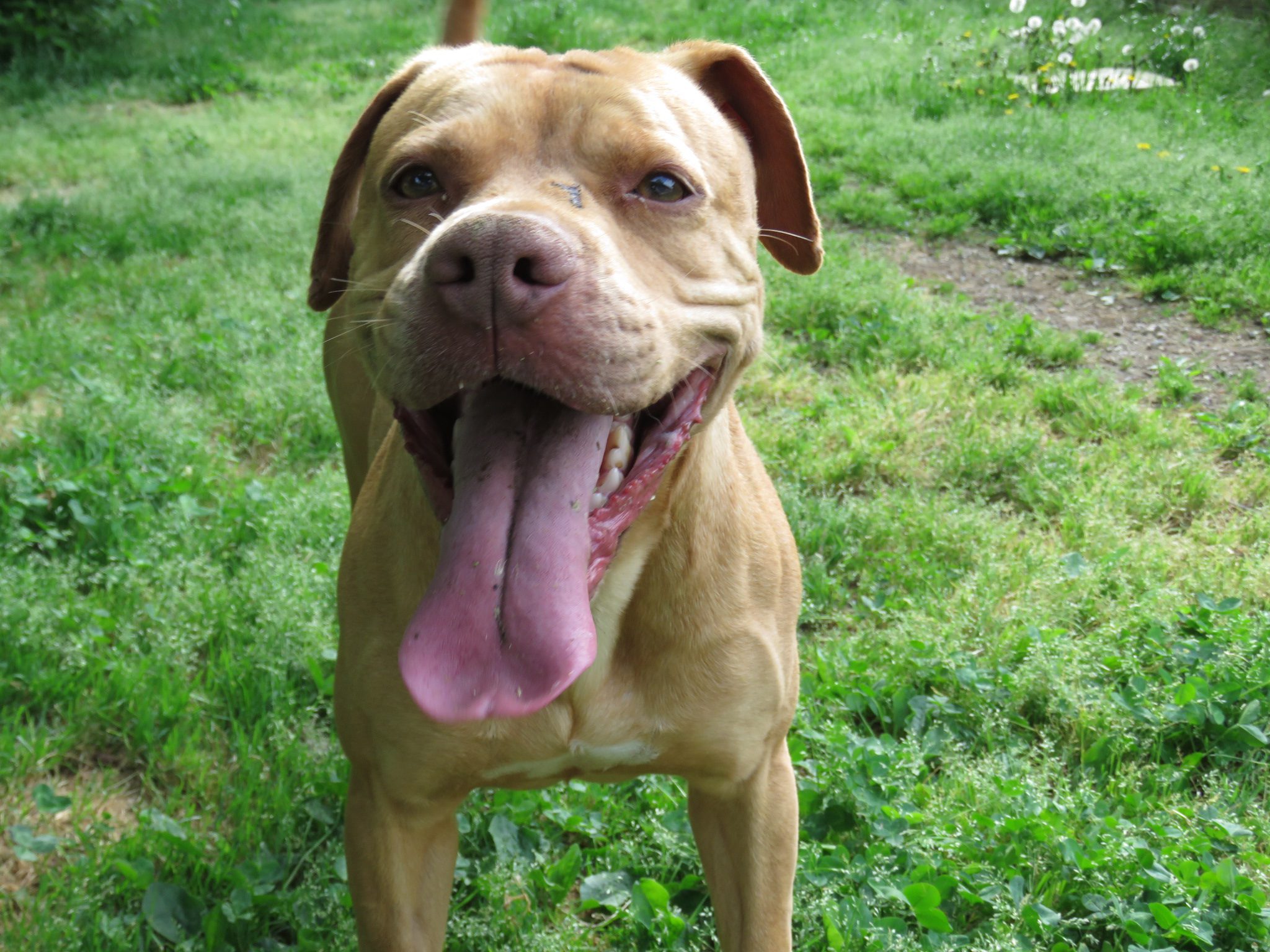 Zara.Pitt