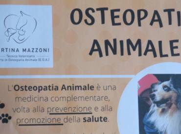 Osteopatia animale