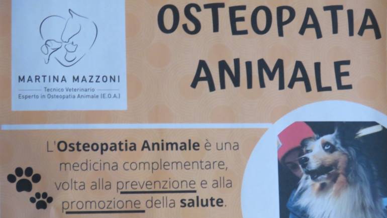 Osteopatia animale