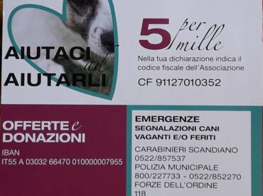 5 X Mille!? Sì … grazie 1000!
