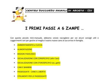 Primi passi a 6 zampe