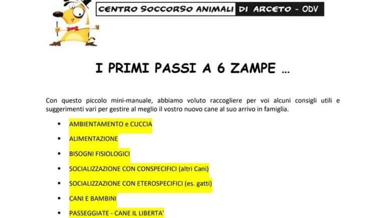 Primi passi a 6 zampe
