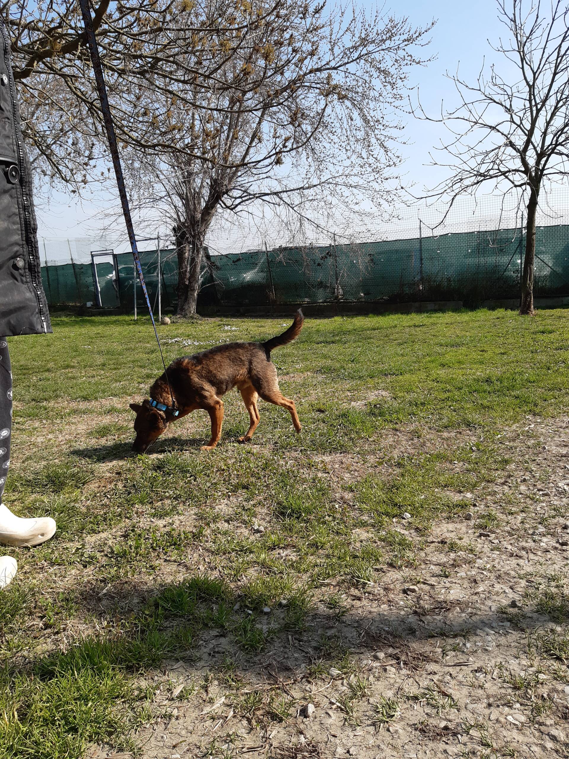 Roki - immagine 2