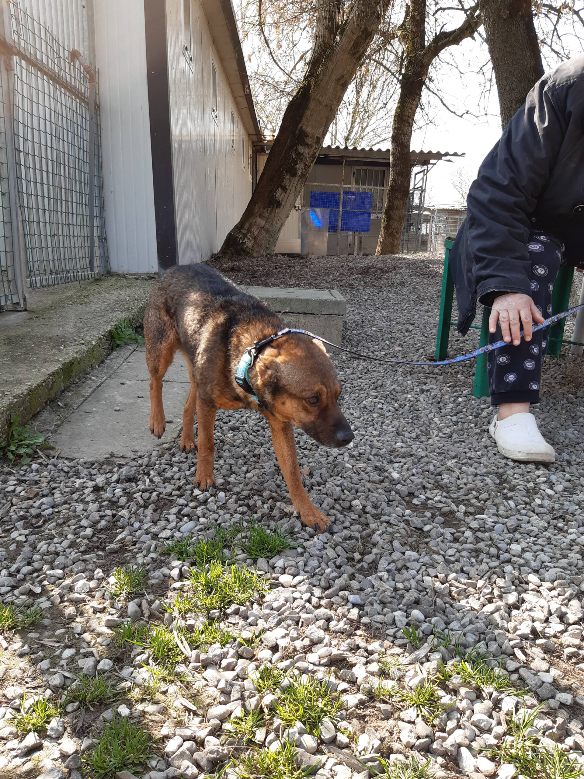 Roki - immagine 5