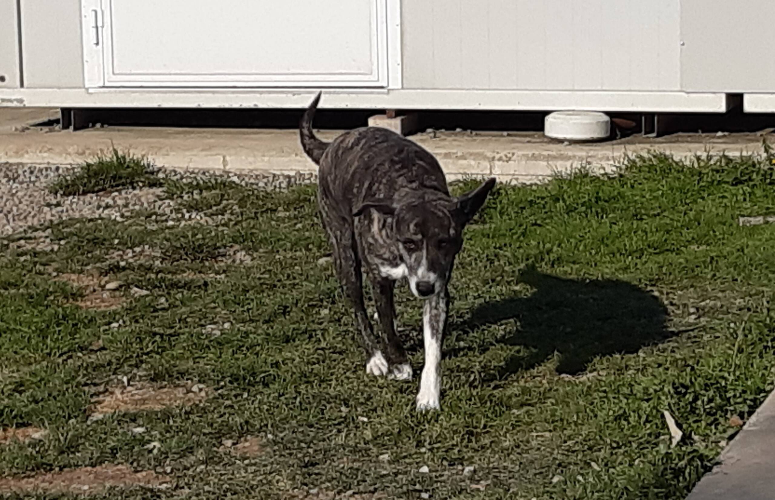 Pixel