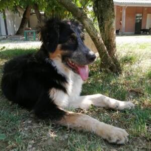 Elettra