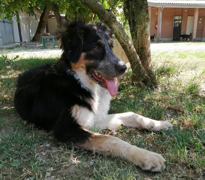 Elettra