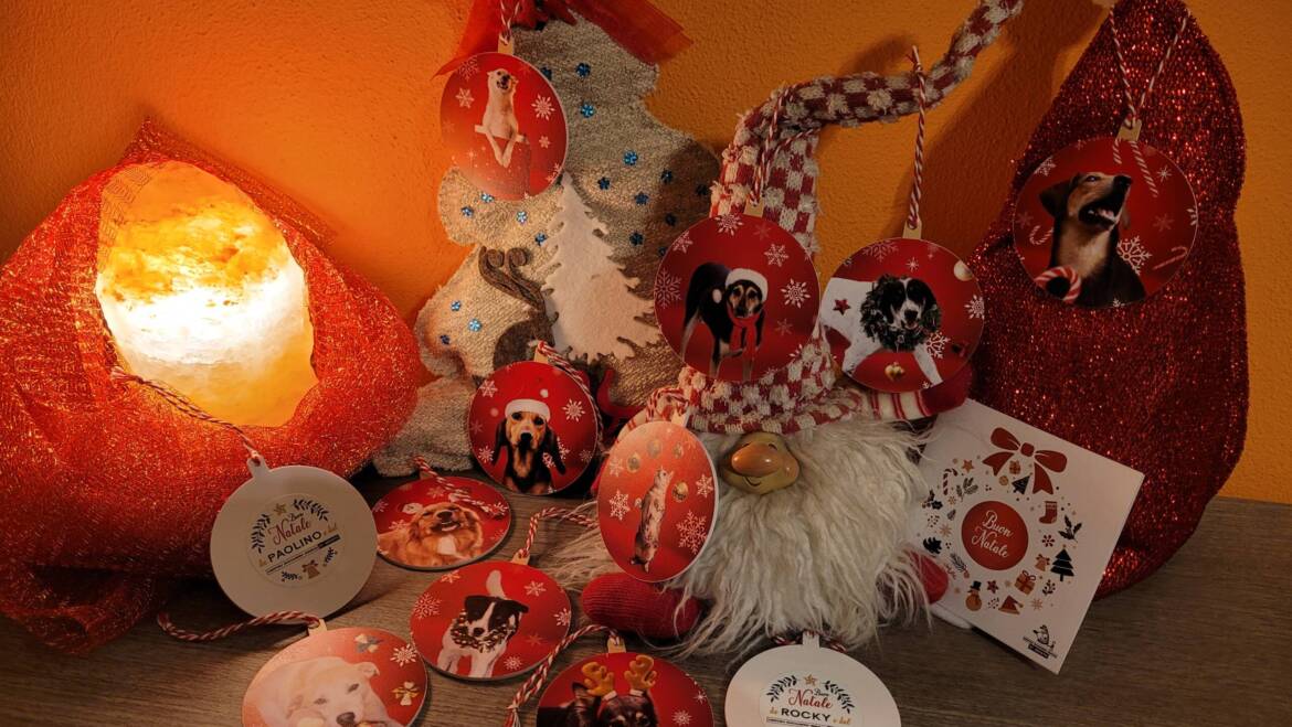 NATALE con Noi