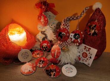 NATALE con Noi