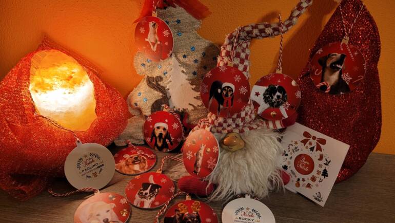 NATALE con Noi