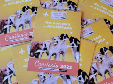 Canilario 2022