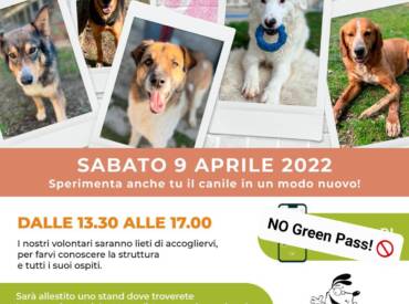 Open Day 2022