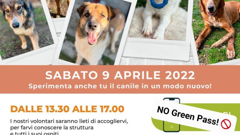 Open Day 2022