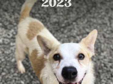 Calendario 2023