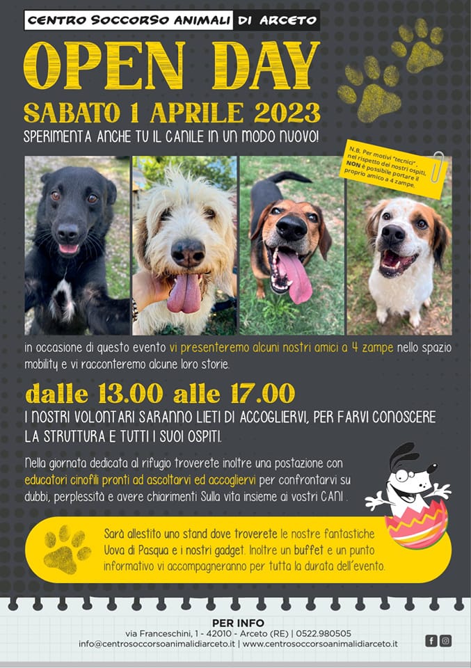 Open Day 2023