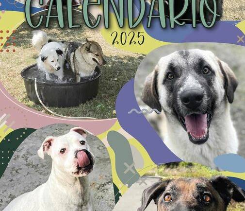 Calendario 2025