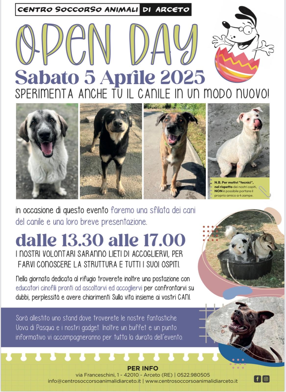 OPEN DAY 2025