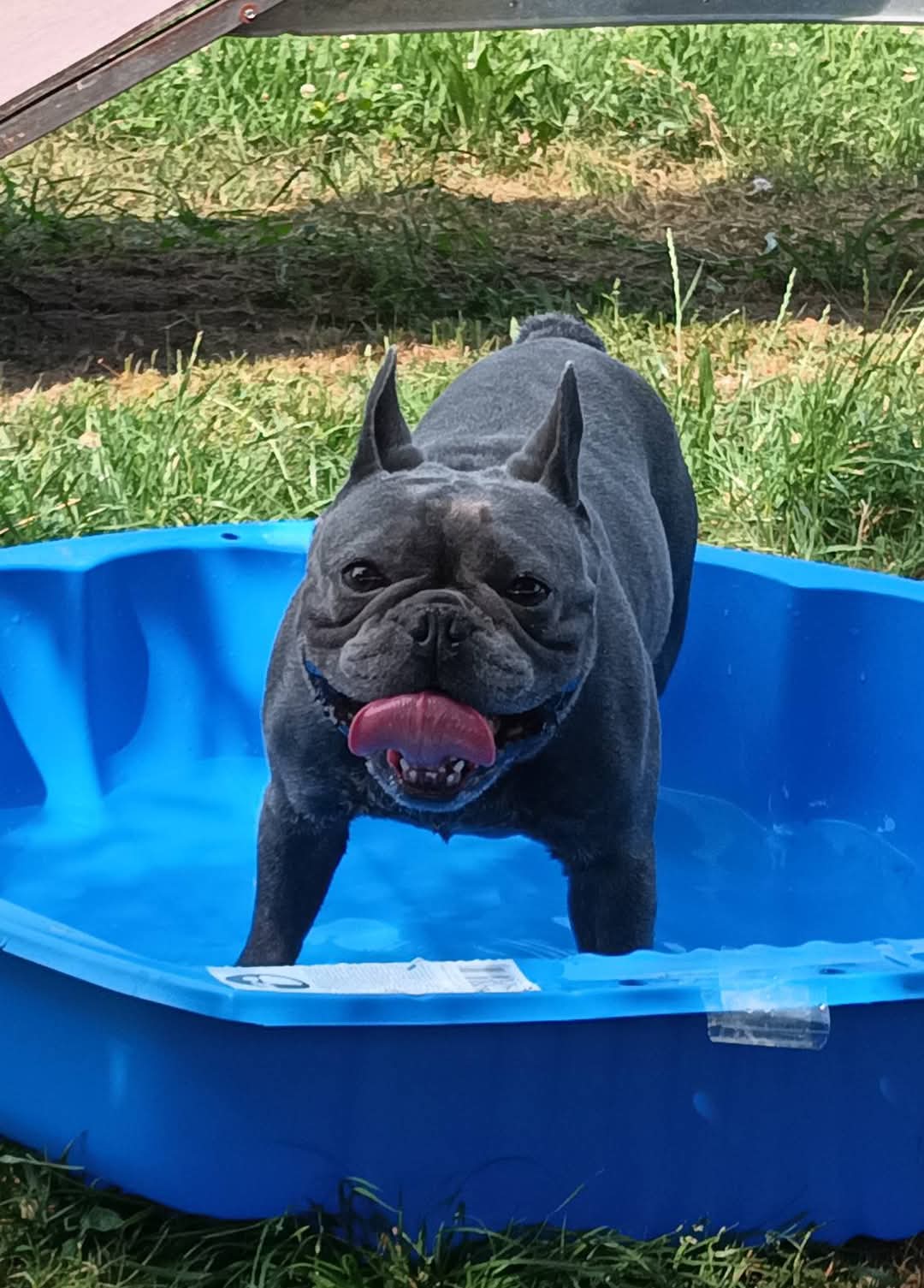 El Tanque