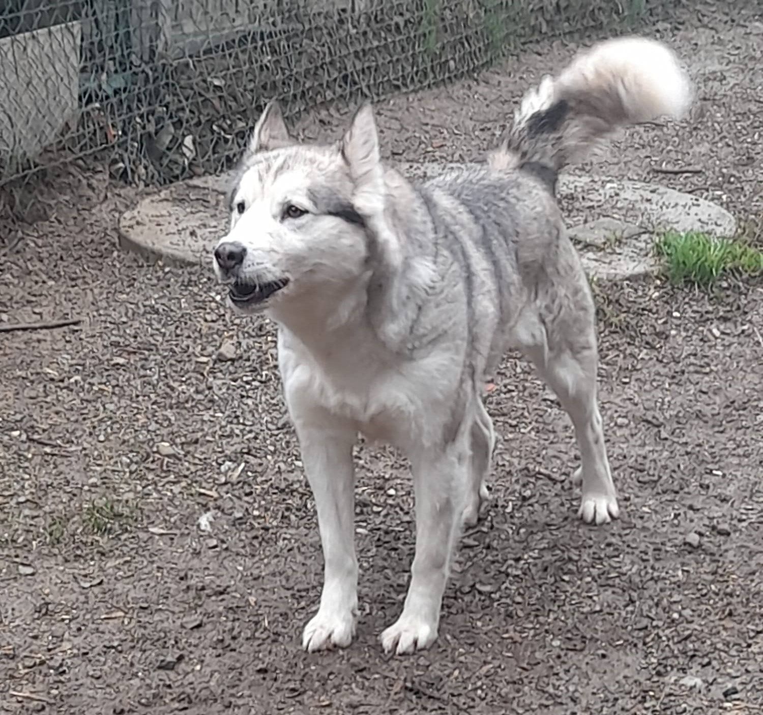 Nora
