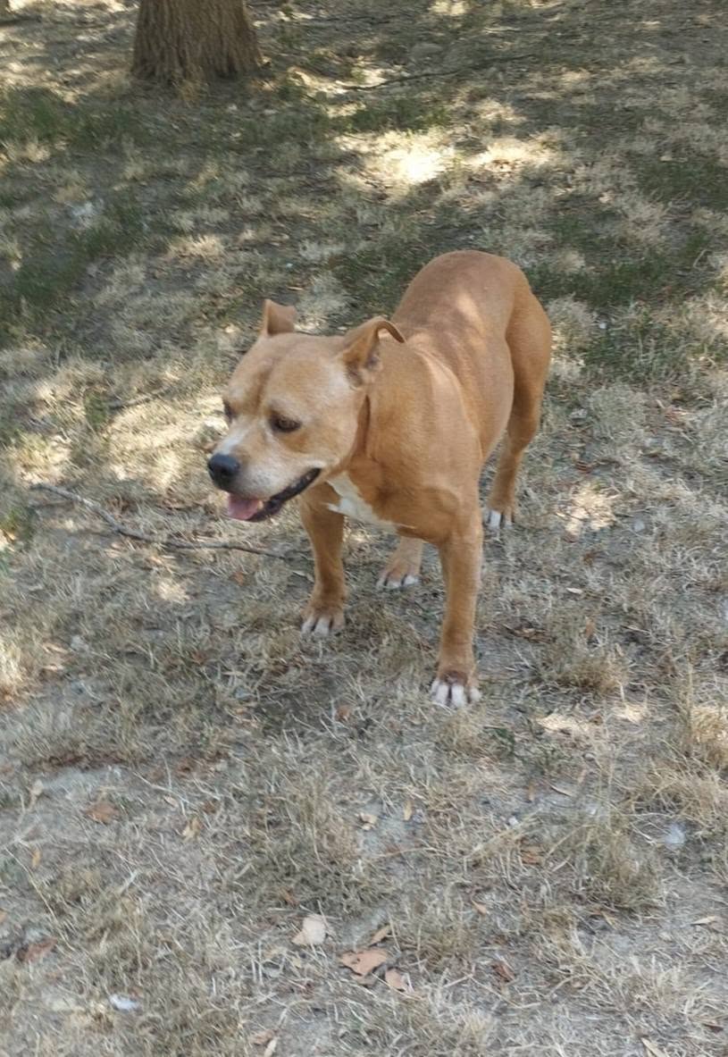 Larry - immagine 2