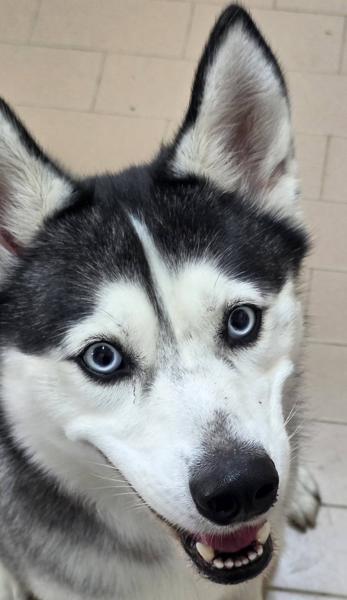 Yuki